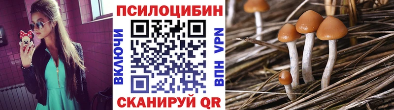 это состав  Томск  Галлюциногенные грибы мухоморы 
