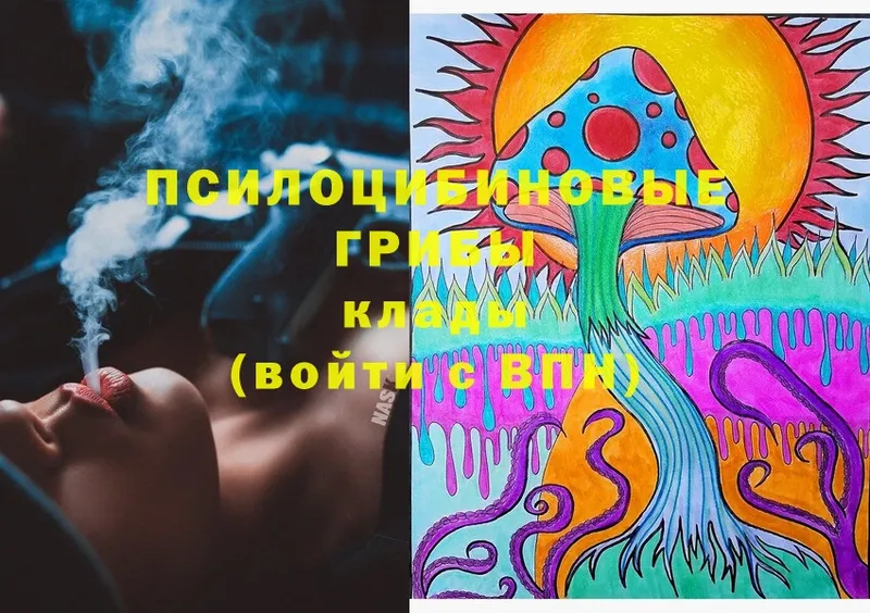 Псилоцибиновые грибы Magic Shrooms  MEGA зеркало  Томск 