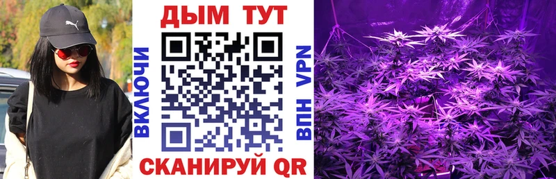 как найти закладки  Томск  Бошки Шишки White Widow 